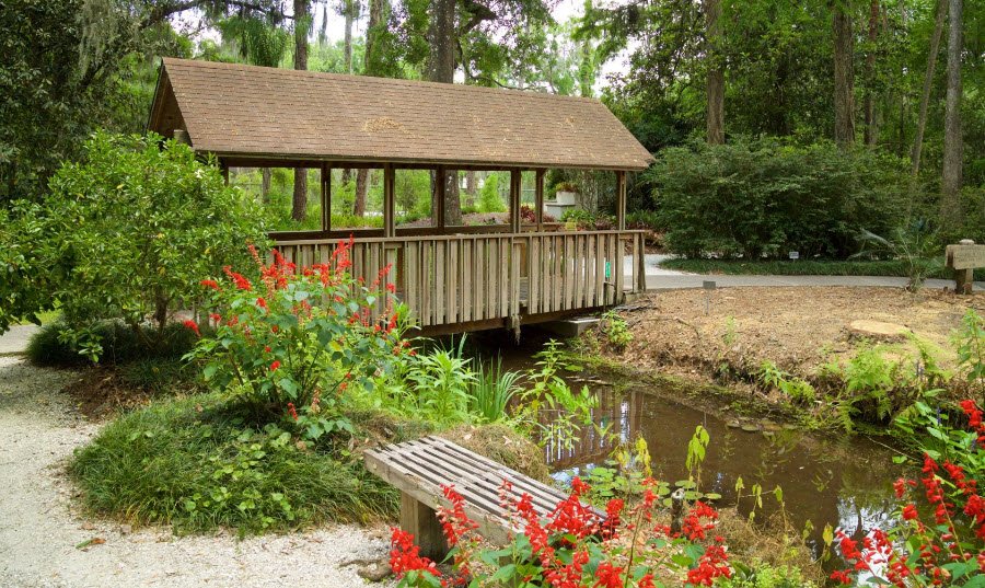 Arboretum Al Gau, Espartignac, France, France